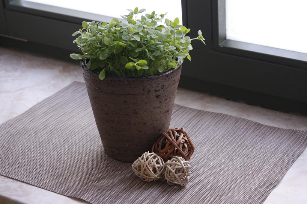 Silentio Schletterstrasse Apartment Leipzig Ngoại thất bức ảnh